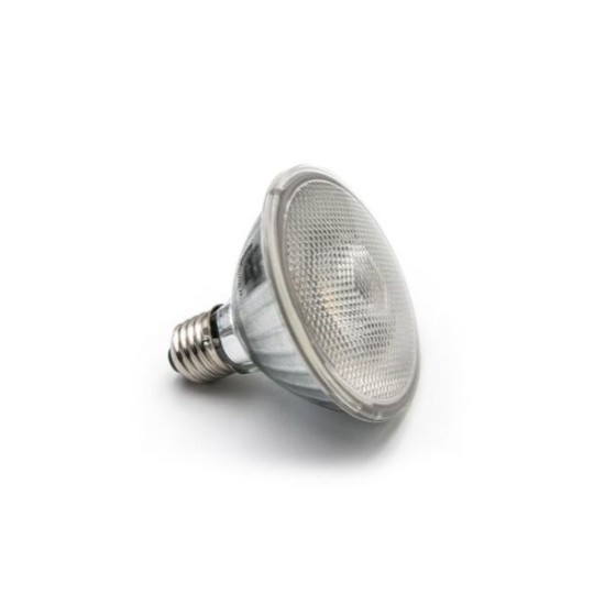 Λάμπα Led Γυάλινη PAR30 E27 10W 230V 45° 6200Κ Ψυχρό - Adeleq
