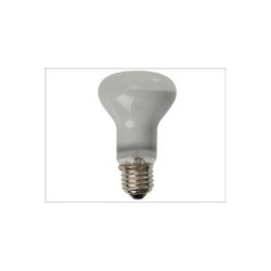 Halogen lamp R63 - 28W / 2700K - Mat frosted  - ADELEQ