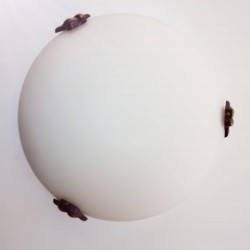 Φωτιστικό απλίκα επίτοιχη - D300 - 1x75W / E27 - Λευκό/οξυντέ - Viokef