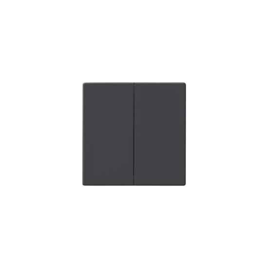 Interruptor double switch graphit - Plate Solo/future - Busch-Jaeger