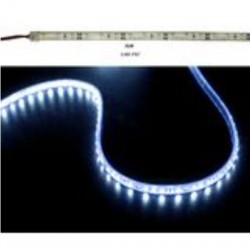 Led Strip White PCB 5m12VDC 4.8W/m 60L/m Cool White IP67 - Adeleq