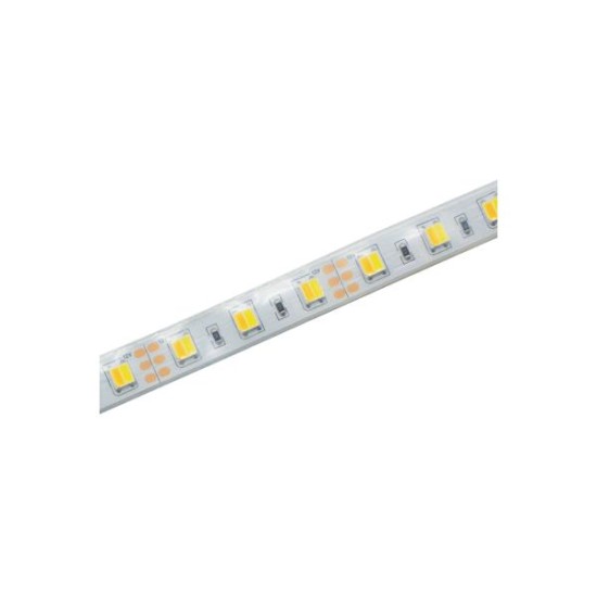 Led Strip 5M 12W/M 800-840lm/m 12V DC IP65 CCT Ra80 - aca