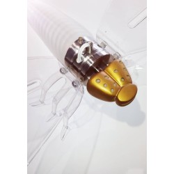 Bee light - E27 1x60W - Spot light