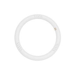 Lamp led circular T9 G10q 16W 6500K G10Q16CW - Diolamp