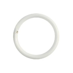 Lamp led circular T9 G10q 20W 6500K G10Q20CW - Diolamp