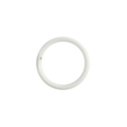 Lamp led circular T9 G10q 20W 6500K G10Q20CW - Diolamp