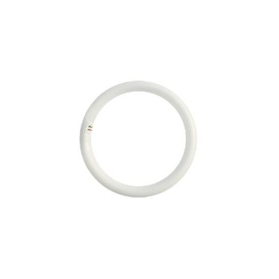 Lamp led circular T9 G10q 20W 6500K G10Q20CW - Diolamp