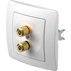 Πρίζα ηχείου Hi-Fi PW Λευκό / TEM EKONOMIK