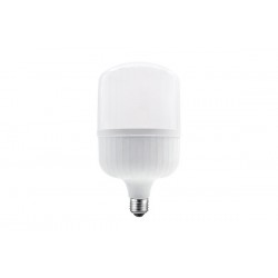 Λάμπα Led P125 E27 39W 4000K 220deg 125x215mm P12939NW - Diolamp