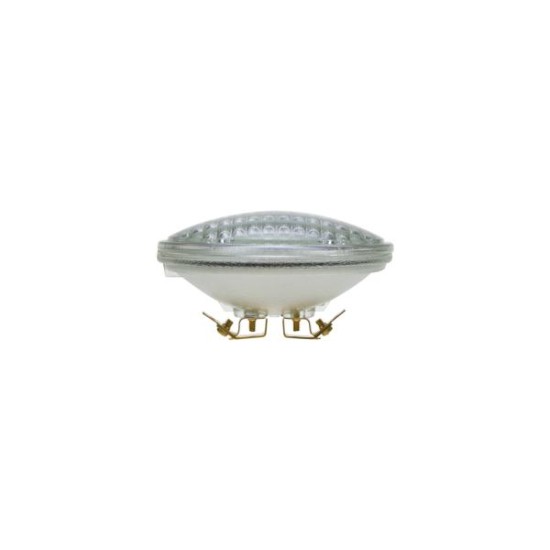  Led lamp SMD PAR36 10W 3000K 12V AC/DC 112X60mm PAR3610WW - Diolamp