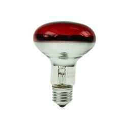 Lamp incandescent R80 / E27 - 60W Red - Eurolamp