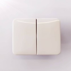 Πλακίδιο διακόπτη διπλού ιβουάρ για μηχ/σμο alpha nea/alpha exclusive - Busch-Jaeger