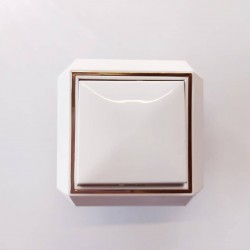 Διακόπτης απλός Χρυσο/Λευκό - Luxus - ESEM