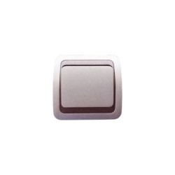 Two way switch 10A 250V~ Silver / MAKEL