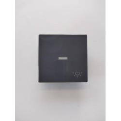 Μπουτόν φωτιζόμενο γραφίτης - Πλακίδιο Solo/future - Busch-Jaeger