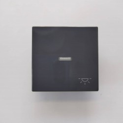 Μπουτόν φωτιζόμενο γραφίτης - Πλακίδιο Solo/future - Busch-Jaeger