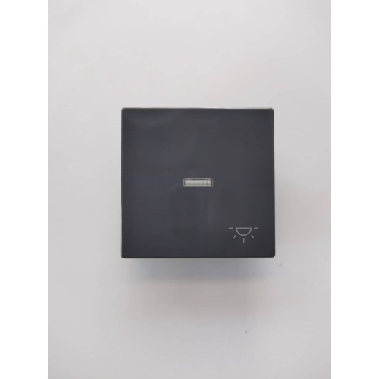 Μπουτόν φωτιζόμενο γραφίτης - Πλακίδιο Solo/future - Busch-Jaeger