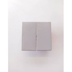 Διακόπτης Διπλός γκρί - Πλακίδιο Solo/future - Busch-Jaeger