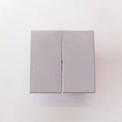 Διακόπτης Διπλός γκρί - Πλακίδιο Solo/future - Busch-Jaeger