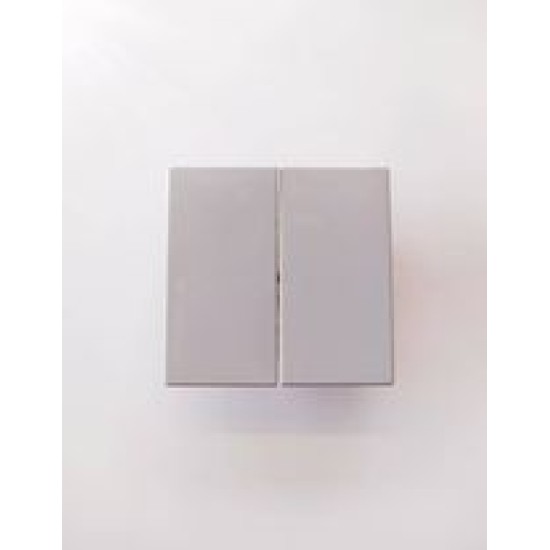 Διακόπτης Διπλός γκρί - Πλακίδιο Solo/future - Busch-Jaeger