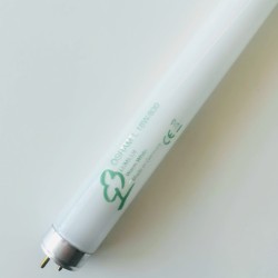 Λάμπα φθορισμού / Λευκό - L18W/840 - OSRAM