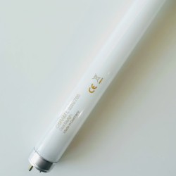 Λάμπα φθορισμού T8 - L23W / 54 - 6000K - Philips