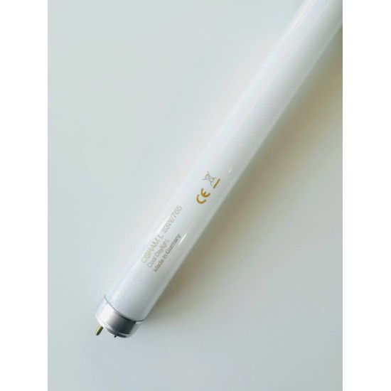 Lamp fluorescent T8 - L23W / 54 - 6000K - Philips