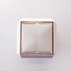 Διακόπτης διπλός Χρυσο/Λευκό - Luxus - ESEM