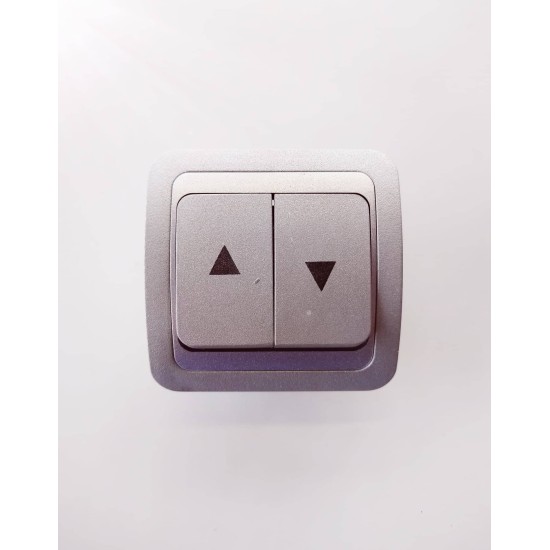 Rolls button 10A 250V~ Silver / MAKEL