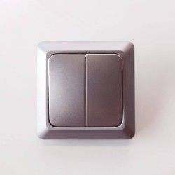 Διακόπτης διπλός ασημί αλουμίνιο - NOREL - ELKO 