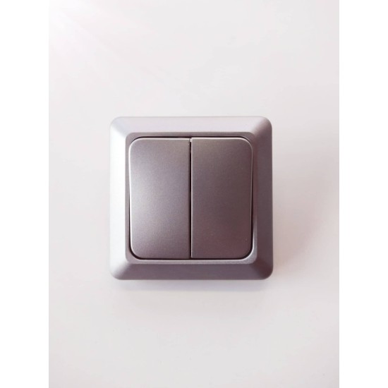 Διακόπτης διπλός ασημί αλουμίνιο - NOREL - ELKO 