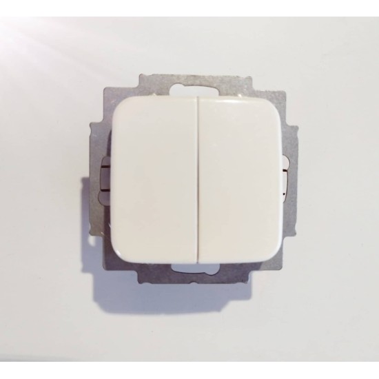 Διακόπτης Διπλός λευκός μηχανισμός/Πλακίδιο - Busch-Jaeger