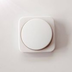 Ροοστάτης περιστροφικός λευκό - Πλακίδιο reflex - Busch-Jaeger