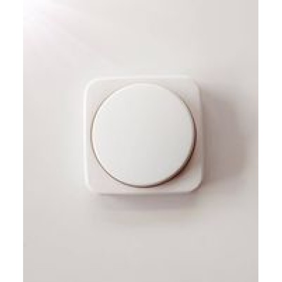 Ροοστάτης περιστροφικός λευκό - Πλακίδιο reflex - Busch-Jaeger