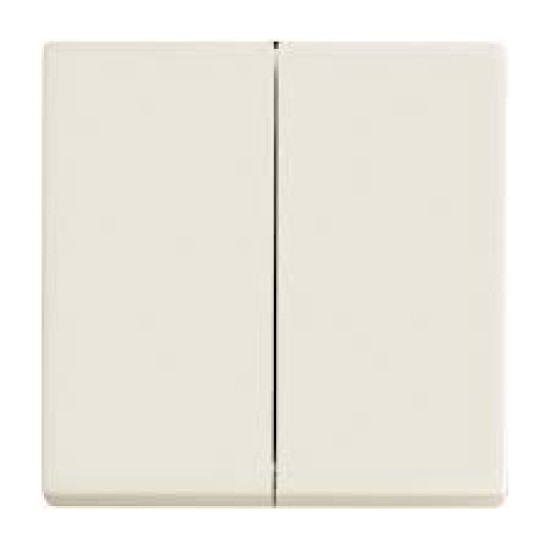 Διακόπτης Διπλός λευκό - Πλακίδιο Solo/future - Busch-Jaeger