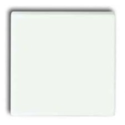 Διακόπτης απλός λευκό - Πλακίδιο Solo/future - Busch-Jaeger